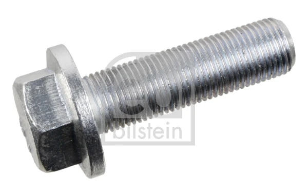 Bolt, brake caliper